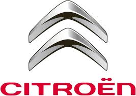 citroen xsara enterprise window van wing mirror